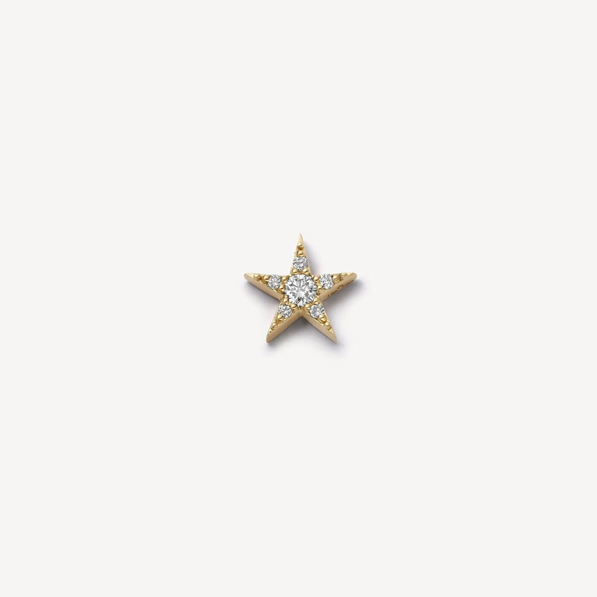 Sparkling Star Memory Locket Charm
