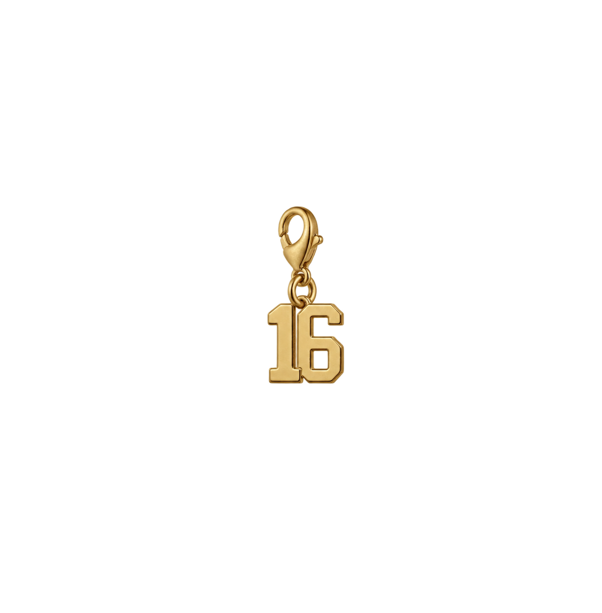 16th Birthday Age Charm