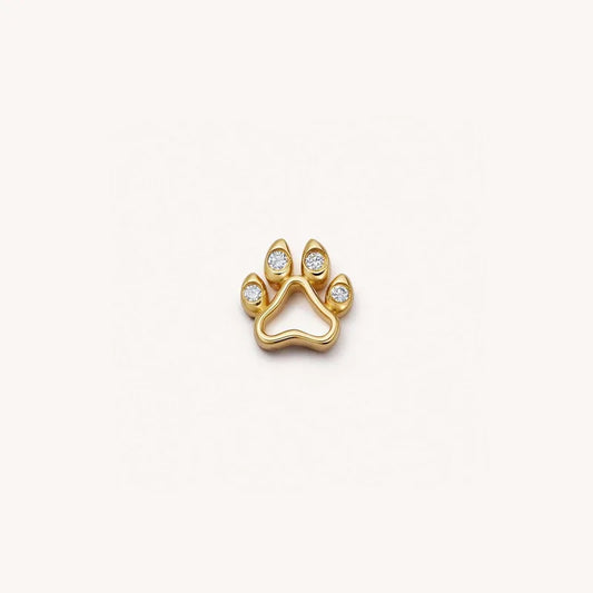 Tiny Paw Print Memory Locket Charm