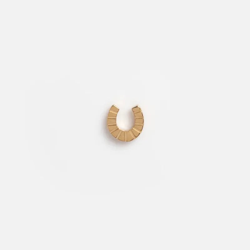 Lucky Horseshoe Memory Locket Charm