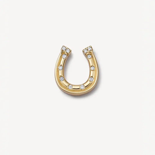 Sparkling Good Luck Horseshoe Memory Locket Charm